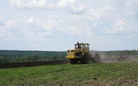В Оренбуржье в оборот введут 273 тыс. гектаров неиспользуемой пашни
