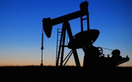 В Оренбуржье самой прибыльной отраслью стала добыча нефти и газа