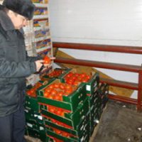 В Оренбурге под утилизацию попали 350 кг турецких помидор