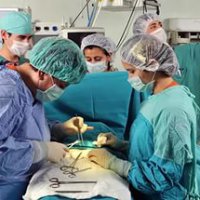 Оренбурге врачи освоят операции по пересадке печени