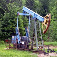 Добычу нефти в Бузулукском бору начнут в 2018 году