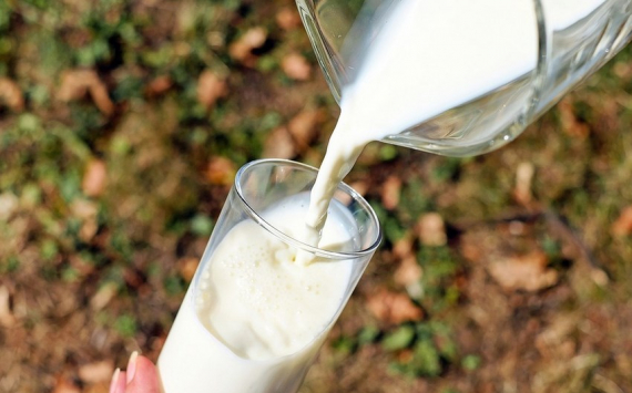 Балыкин: В Оренбуржье закупочная цена на молоко одна из самых низких