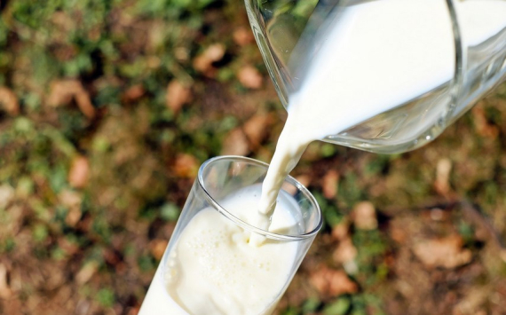 В Оренбуржье производство молока выросло на 1,6%