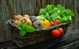 Путин спросил Лут о перспективах стабилизации цен на сельхозпродукты в РФ