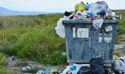 В Оренбуржье на вывоз мусора потратят 1,2 млрд рублей