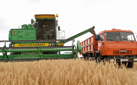 В Оренбуржье 3 млрд рублей направят на поддержку сельского хозяйства