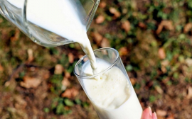 Бизнес Оренбуржья отмечает снижение рентабельности производства молочной продукции
