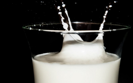 В Оренбуржье на 24% нарастили производство молока