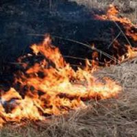 В Оренбургской области ущерб от пожаров составил 42,5 млн рублей