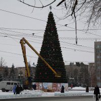 В Орске на новогоднюю елку выделили 3,5 миллиона рублей