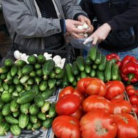 В Оренбуржье подешевели овощи и подорожало дизтопливо