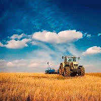 Сельскохозяственный сектор Оренбуржья получил в этом году помощи на 5,5 млрд рублей