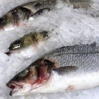 Россельхознадзор запретил ввозить в Оренбуржье 17 тонн свежемороженой рыбы из Казахстана
