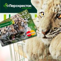 Россельхозбанк и торговый дом «Перекресток» запускают акцию для владельцев карт «Амурский тигр»