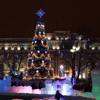 Более 500 елок планируется установить в Оренбурге до Нового года