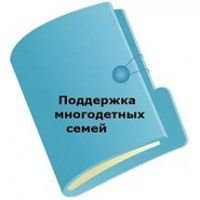 В Оренбуржье прекращены выплаты пособий многодетным семьям