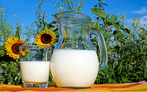 При поддержке Россельхозбанка агрохолдинг «КОМОС ГРУПП» станет  национальной компанией по переработке молока