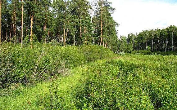 В Оренбуржье на мелиорацию земель направят 104 млн рублей