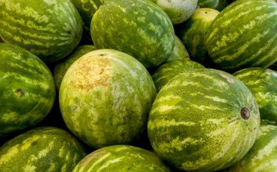 В Оренбуржье на границе задержали 53 тонны фруктов и овощей