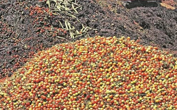 В Оренбуржье уничтожили 40 тонн продовольствия