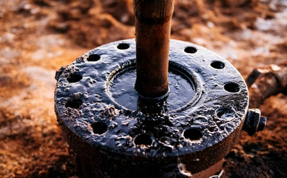В Оренбуржье 4 месторождения нефти продадут за 59 млн рублей