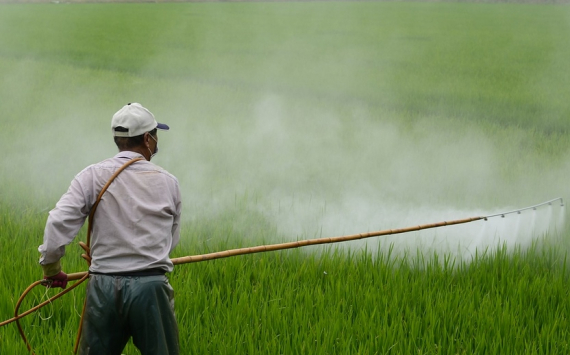 Оренбуржье будет принимать пестицидную тару со всей России