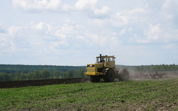 В Оренбуржье в оборот введут 273 тыс. гектаров неиспользуемой пашни