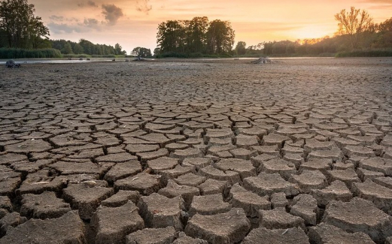 В Орске ущерб от засухи превысил 54 млн рублей