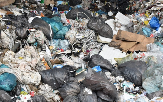 В Оренбуржье на сжигание биологических отходов направят 38 млн рублей