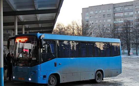 Власти Оренбурга из-за роста цен закупят на 30% меньше автобусов