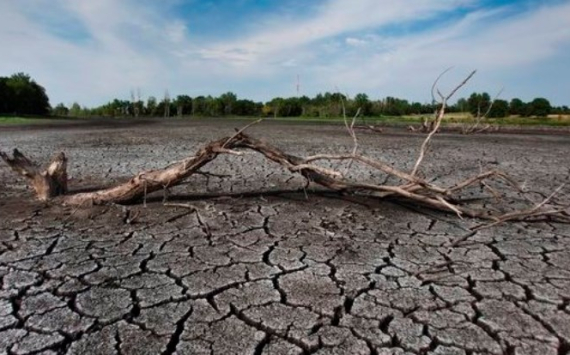 В Оренбуржье аграриям выделят 100 млн рублей в связи с засухой