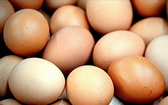 В Оренбурге яйца подешевели на 1%
