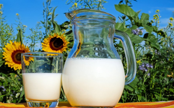 В Оренбуржье производство молока выросло на 3,6%