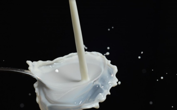 В Оренбуржье производители молока получат поддержку на 10,45 млн рублей