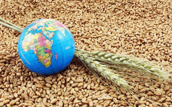 Губернатор Оренбургской области попросил федеральные власти провести зерновые интервенции 
