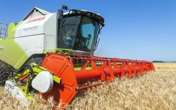 Оренбуржье обеспечит 50% российского урожая твердых сортов пшеницы