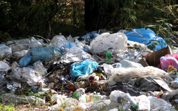 В Оренбуржье тариф за сбор мусора вырастет до 100 рублей